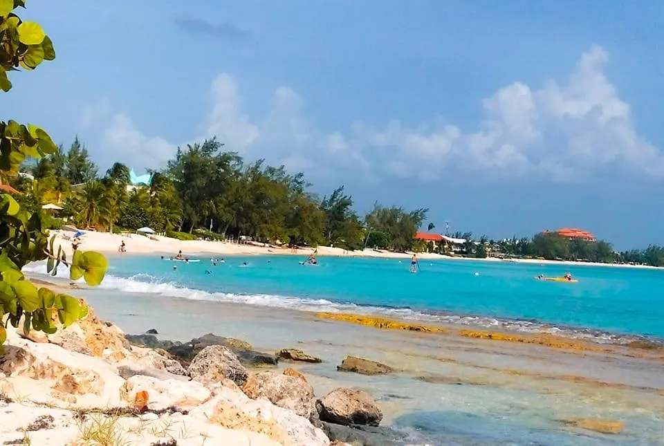 3 Suites At Blue Pavilion - 3 Kitchens - Steps To Beach - Car, Value, Service West Bay Îles Caïmans
